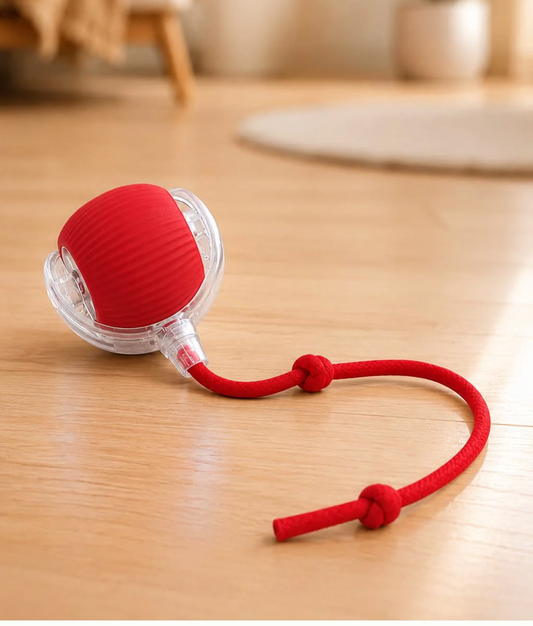 Pelota Inteligente Para Mascotas